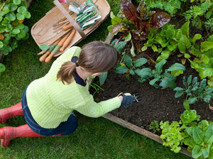 Why Garden? (7 Benefits to Gardening)