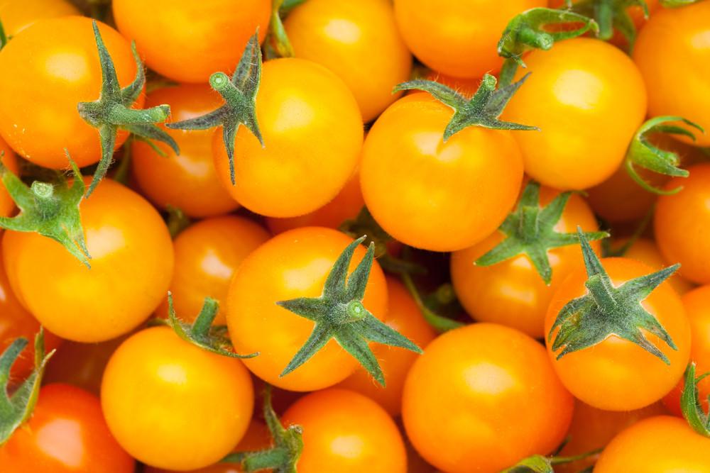 TOMATO - SOLEIL (ORANGE CHERRY TOMATO) – GARDEN GIRL SEEDS
