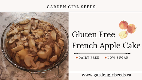 Gluten Free French Apple Cake