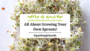 All About Growing Your Own Sprouts!