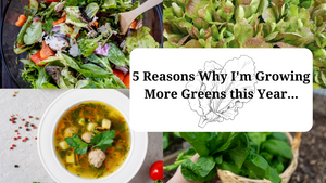 5 Reasons Why I'm Growing More Greens this Year...