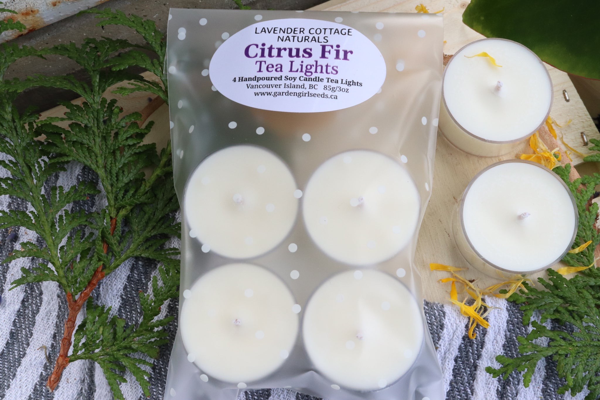 TEALIGHTS - CITRUS FIR